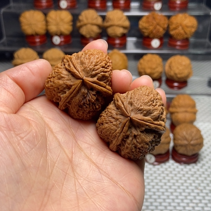 文玩核桃把件10七彩梅花奔