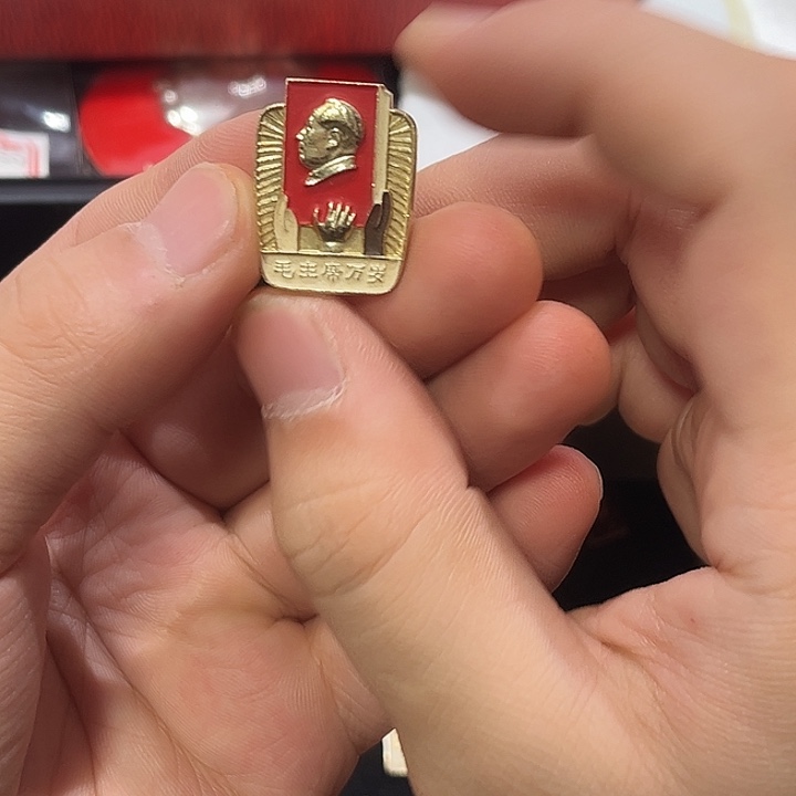 风***程像章一一一高贵轻复古一一一