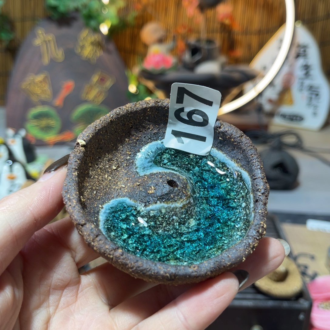 木村信弘柴烧保平