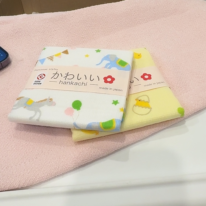塑料这个时候我们