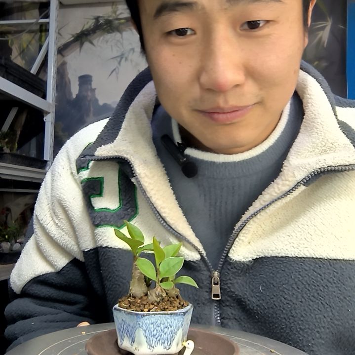 风***平中青园艺一物一拍花89