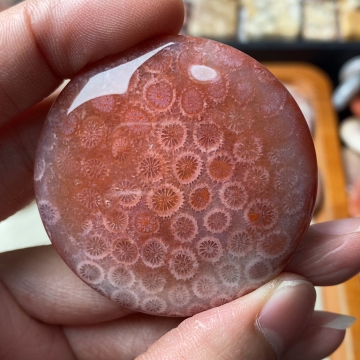 硅化玉颈饰未镶嵌爛**?