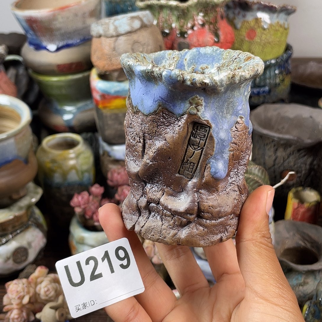 默认微次 跨年福利 坛子姐花盆