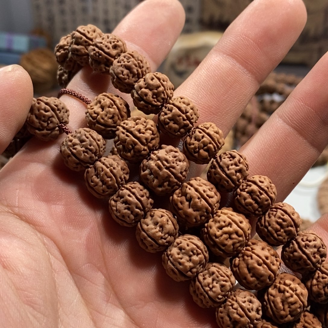 手串金刚菩提11老树王