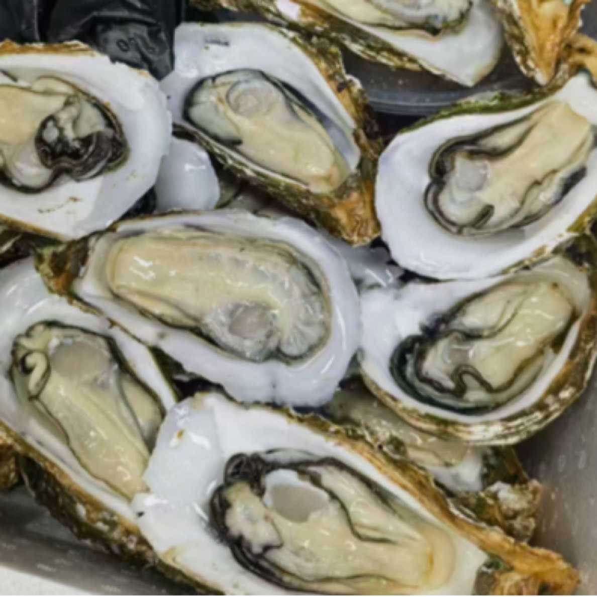 乳山3+生蚝3元一个