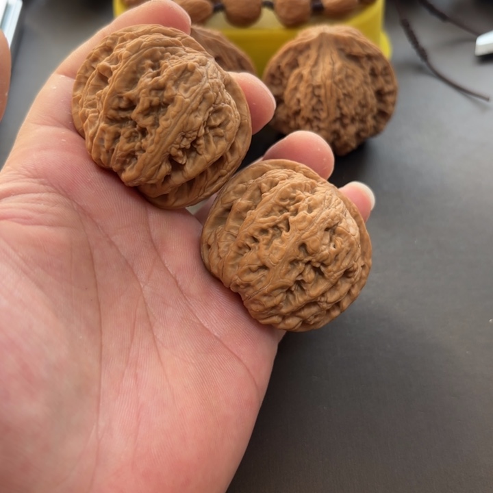 鑫***玉大叶紫檀（黑酸枝木类）粗筋