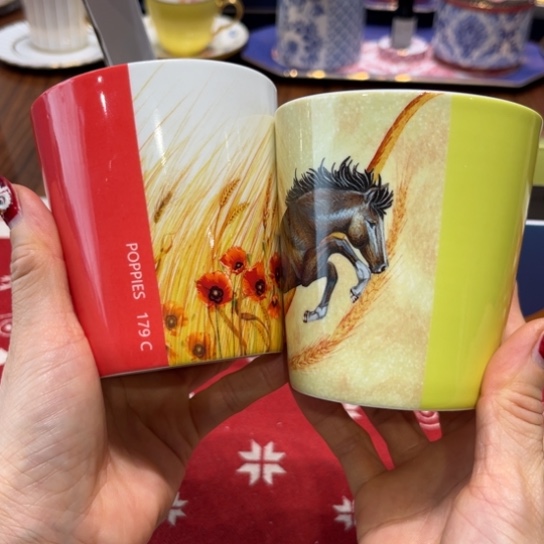 瓷片茶杯茶杯茶杯茶盏