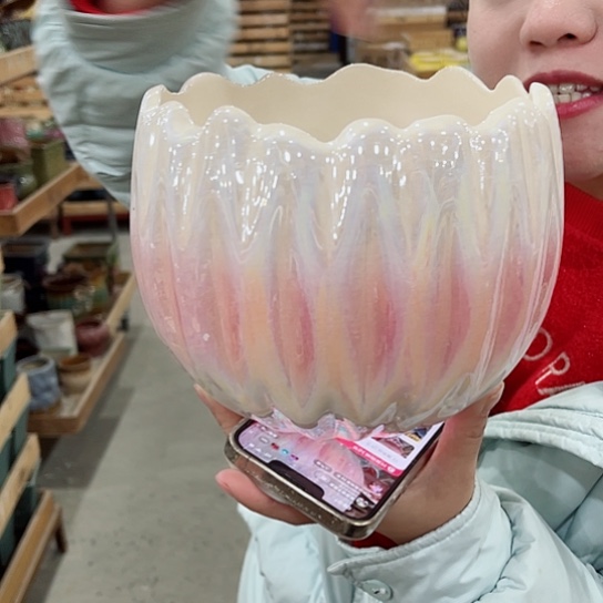 红陶花盆凑单福利满10元发货！