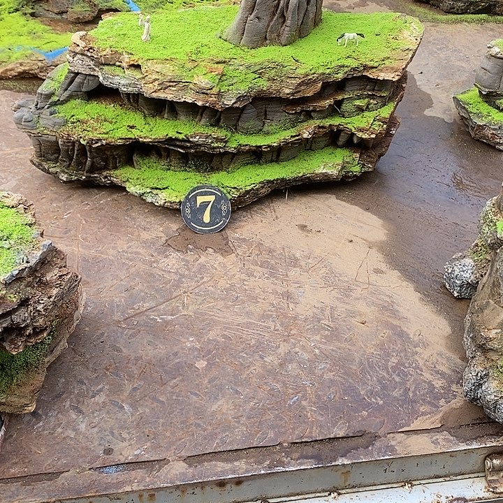 大***漠图看看咯啦啦啦噜天了