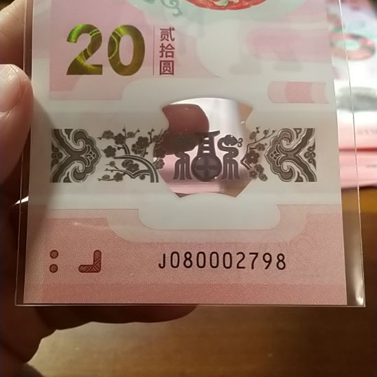 塑料椎**詠蛇纪念钞 080002798