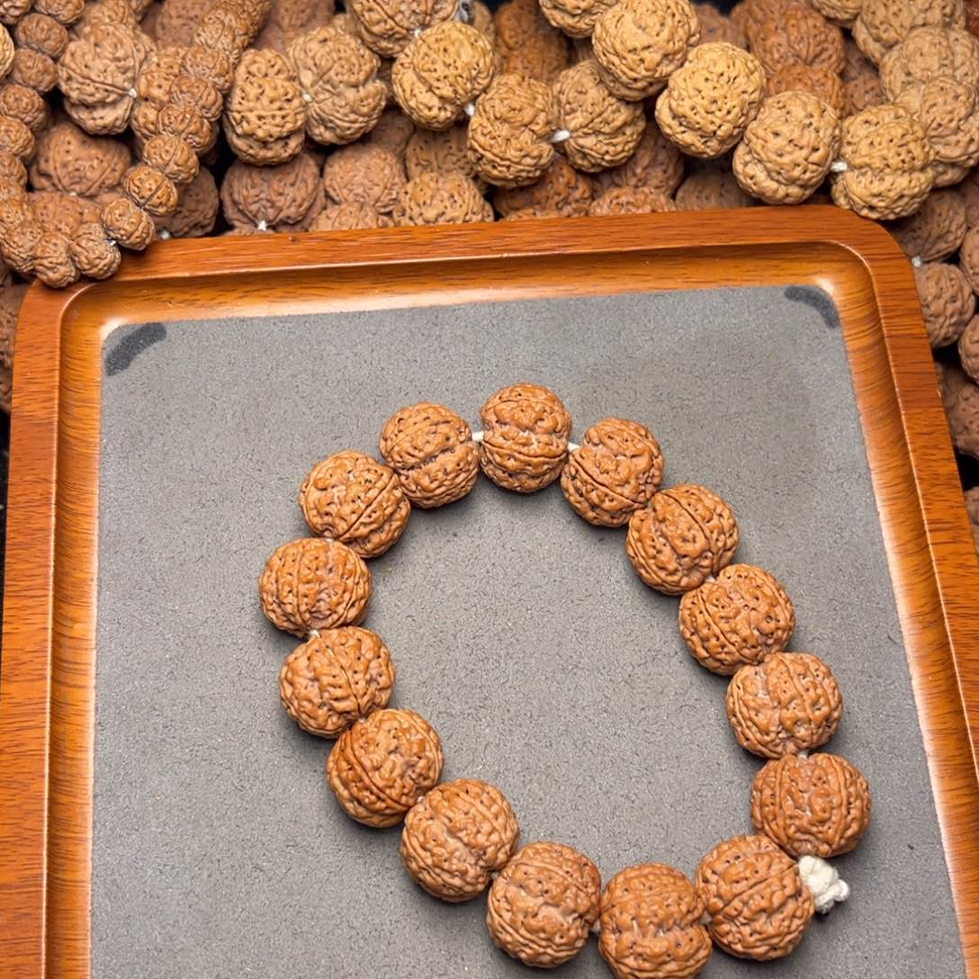 菩提13号尼泊尔大金刚21五星梅花蜂窝