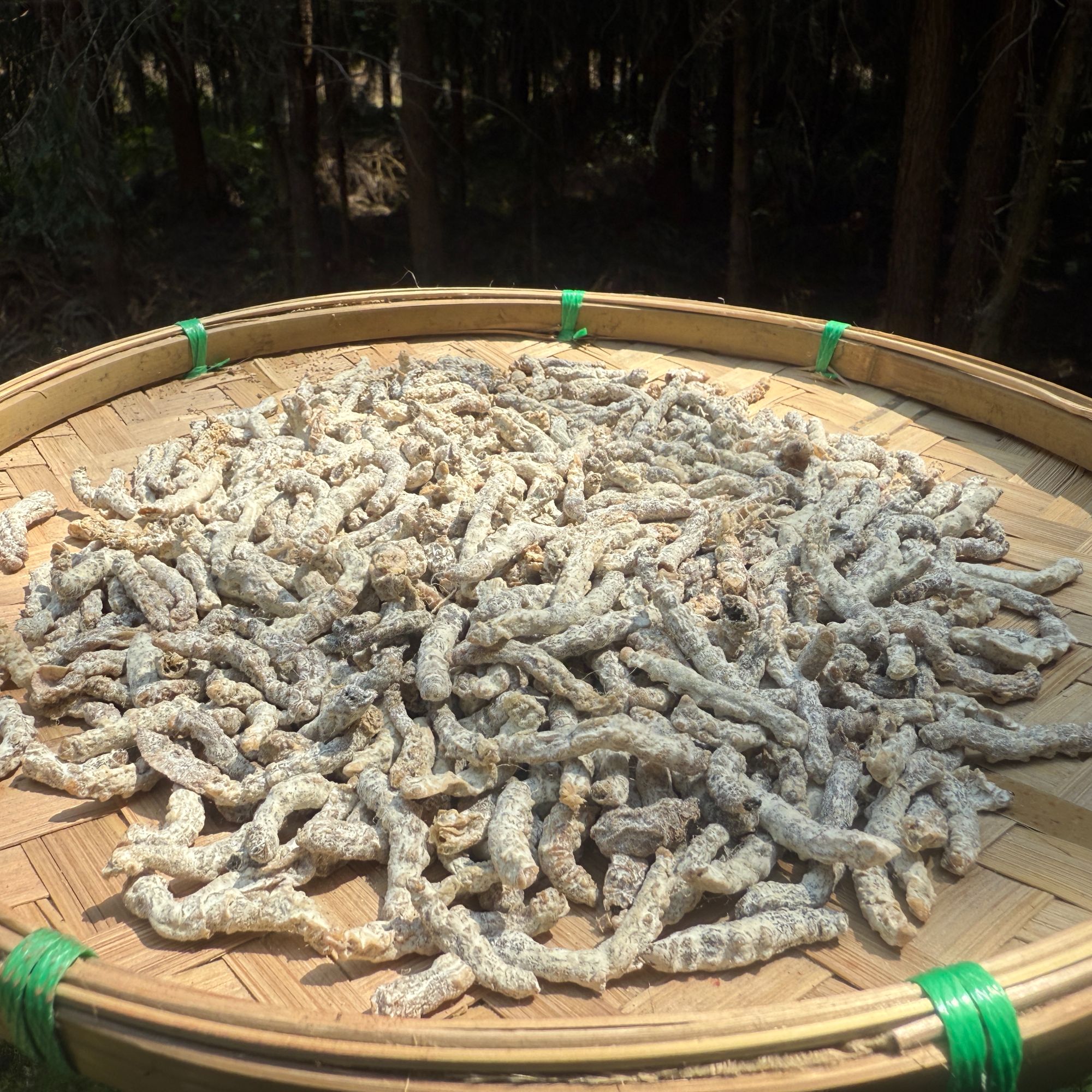 A【虫-草-天-蚕】净含量：250-1000g【小田现收】枸杞