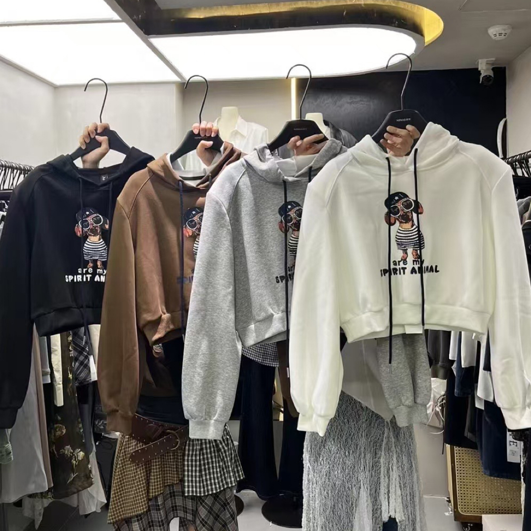洁哥 新品韩系连帽卫衣