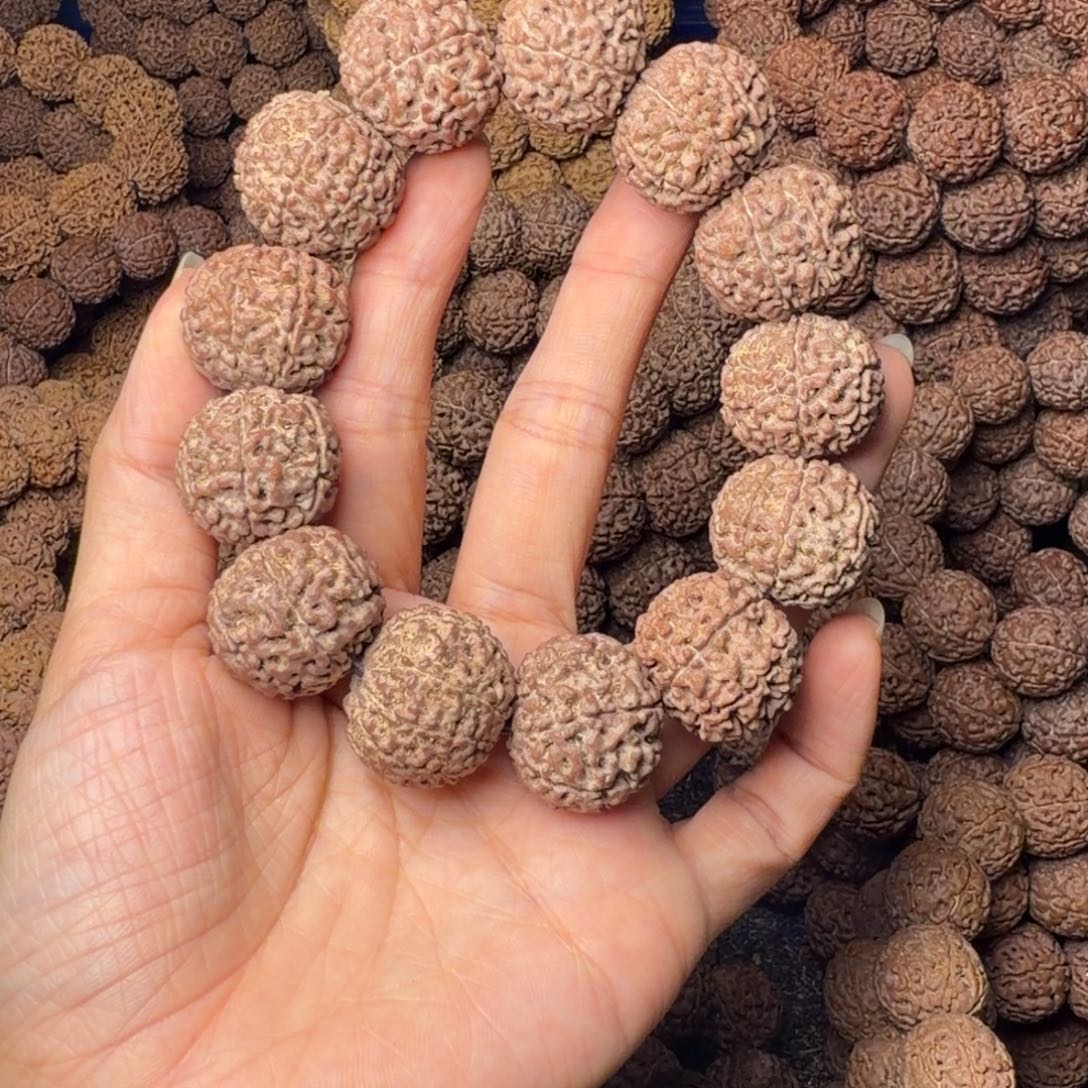 金刚菩提手串8瓣卡23尺，29号