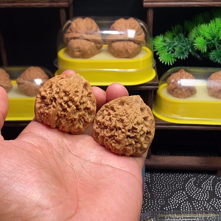 把件文玩核桃满天星