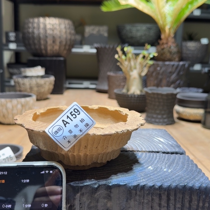 十***曦内口11高5特惠双十二