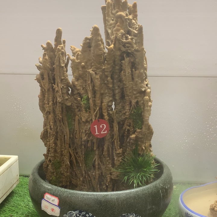 吸水石艺术石吸水石