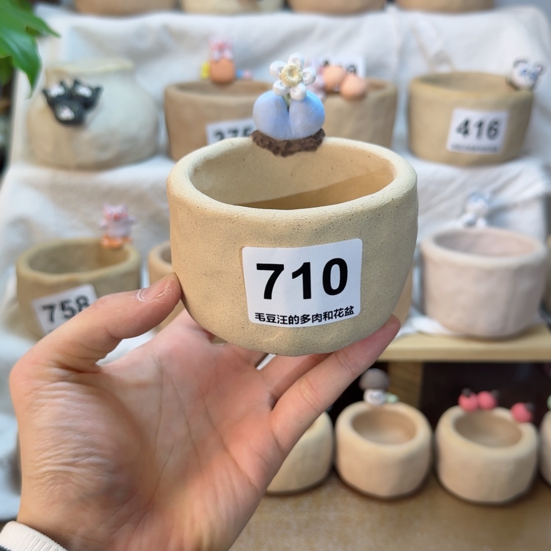 红陶710 内口6cm