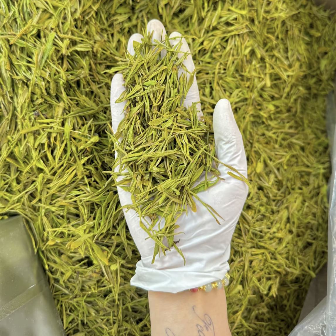 2025明前A360黄金芽老茶友bi拍款高性价比宋杯