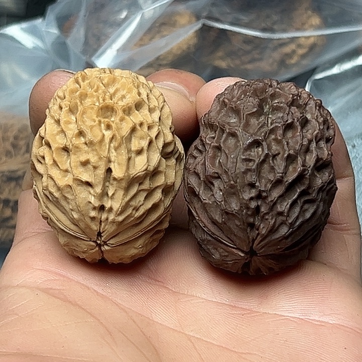 核桃54号阴阳铁绣球43尺