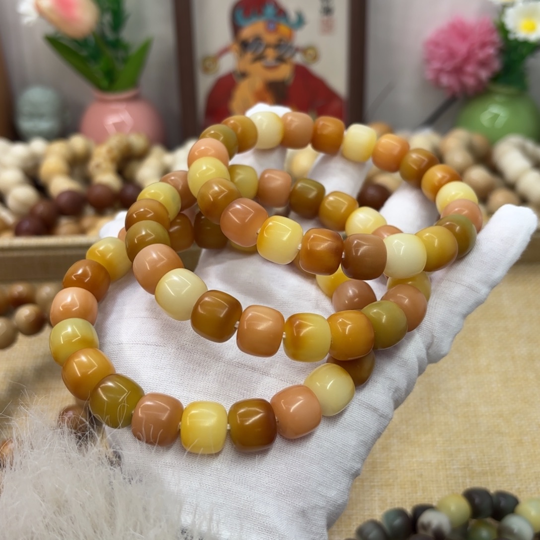 菩提根/象牙果吊坠13干磨杨枝甘露福利一锅211