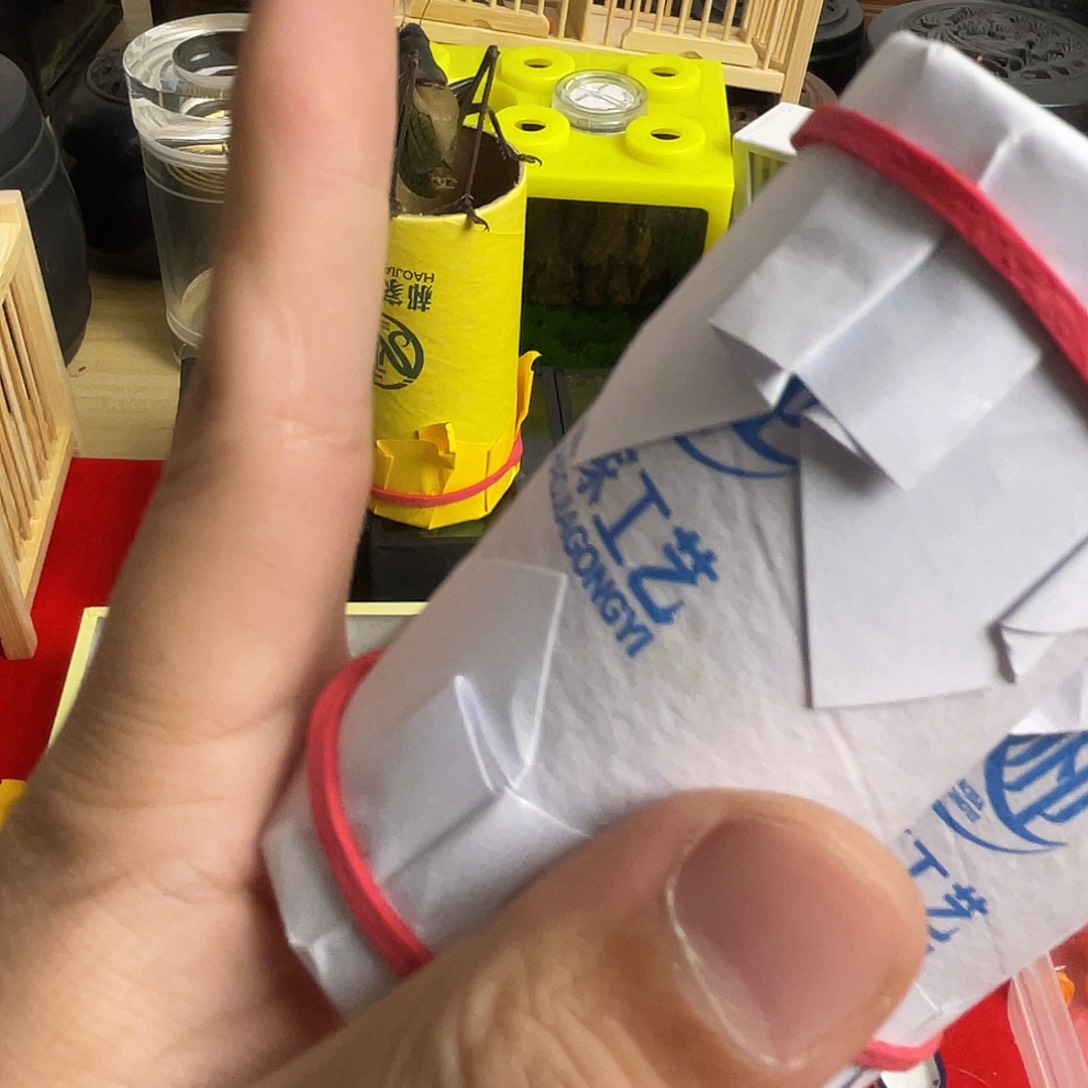 蝈蝈郝建伟两只蝈蝈