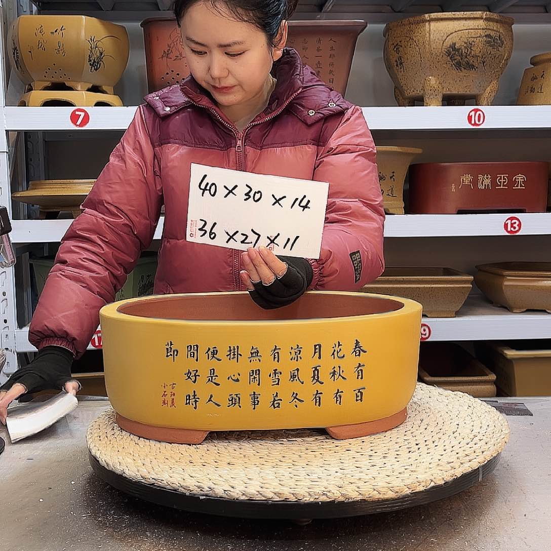 紫砂花盆紫砂花盆