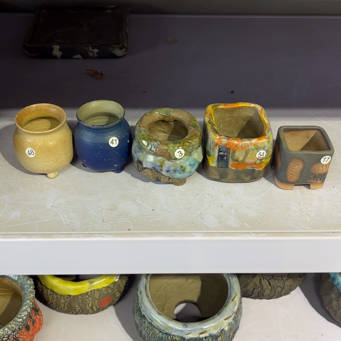 m***9花盆55888888888888888