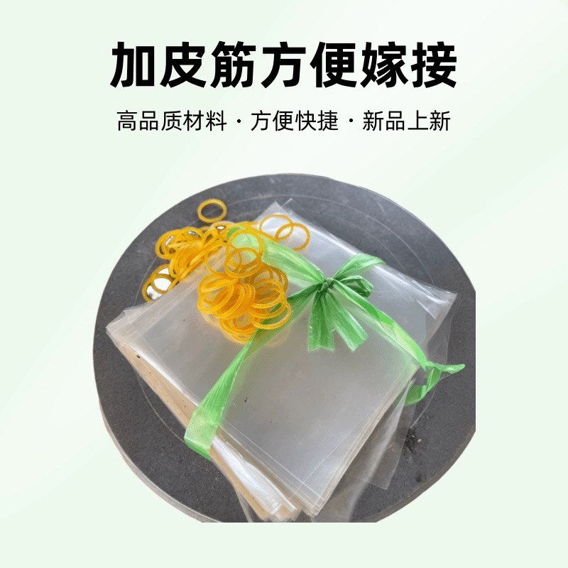 沙漠玫瑰专用嫁接膜加皮筋