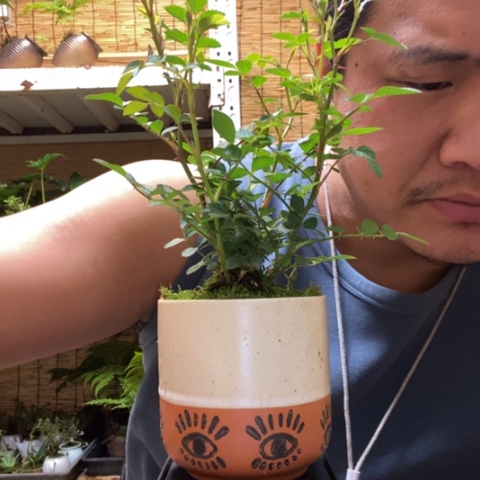 红陶一物一拍所见即所得83