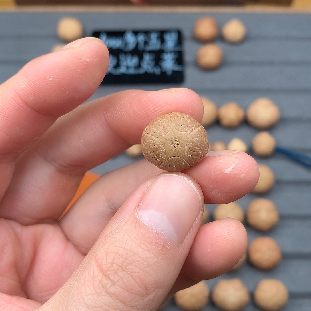 吊坠凤眼菩提17+五星，非质量问题开孔不退