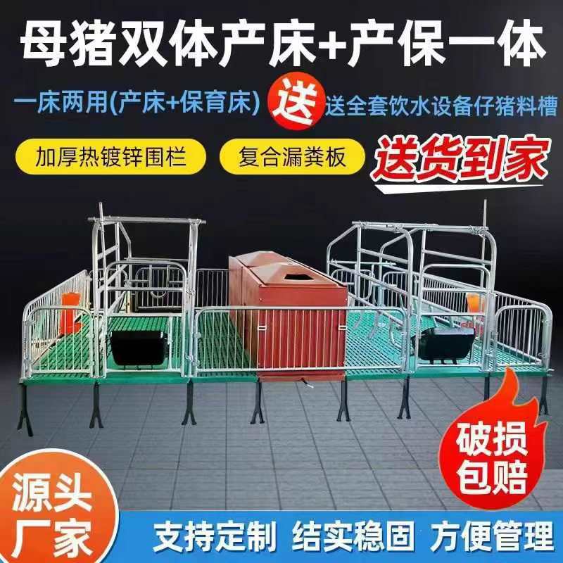 全复合母猪产床双体产床产保一体母猪分娩床