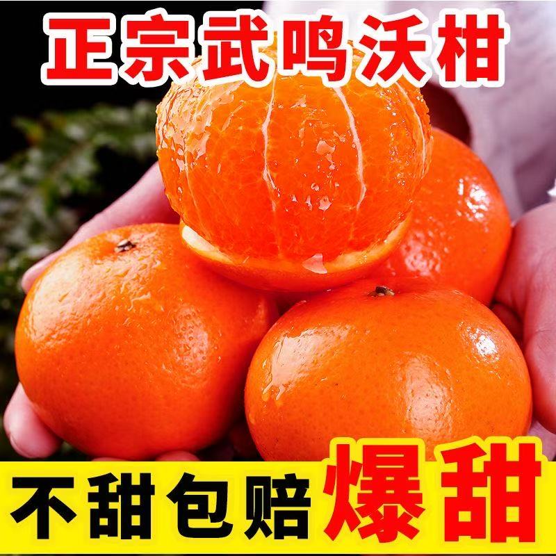 正宗武鸣沃柑-新鲜现摘现发爆甜多汁皮薄肉厚