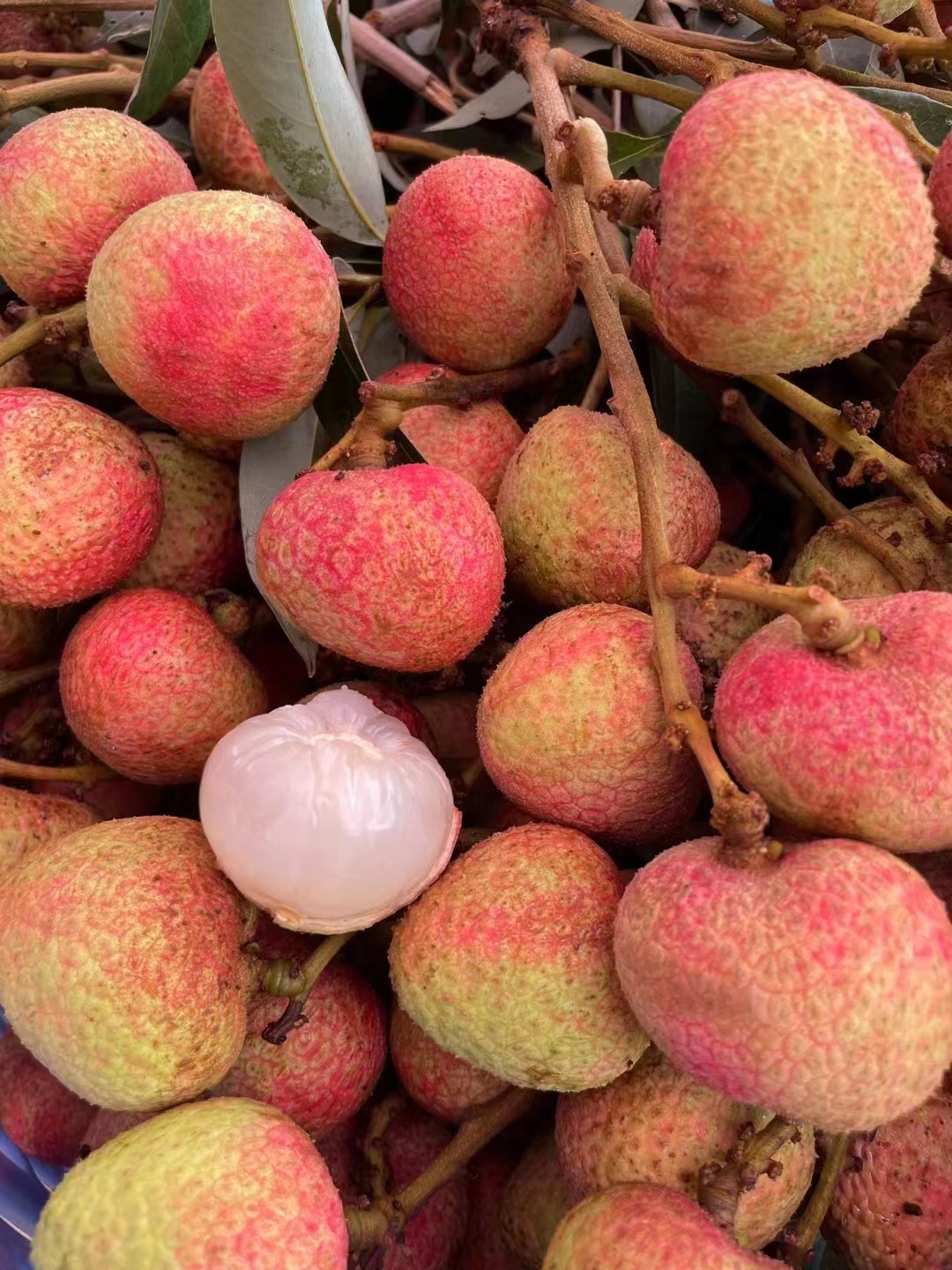 【冷链空运】广东高州三月红荔枝新鲜现摘现发时令应季水果