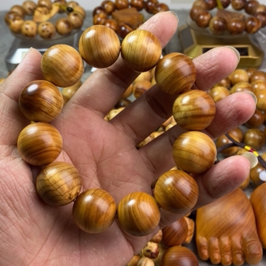 柏木（崖柏）崖柏2.0