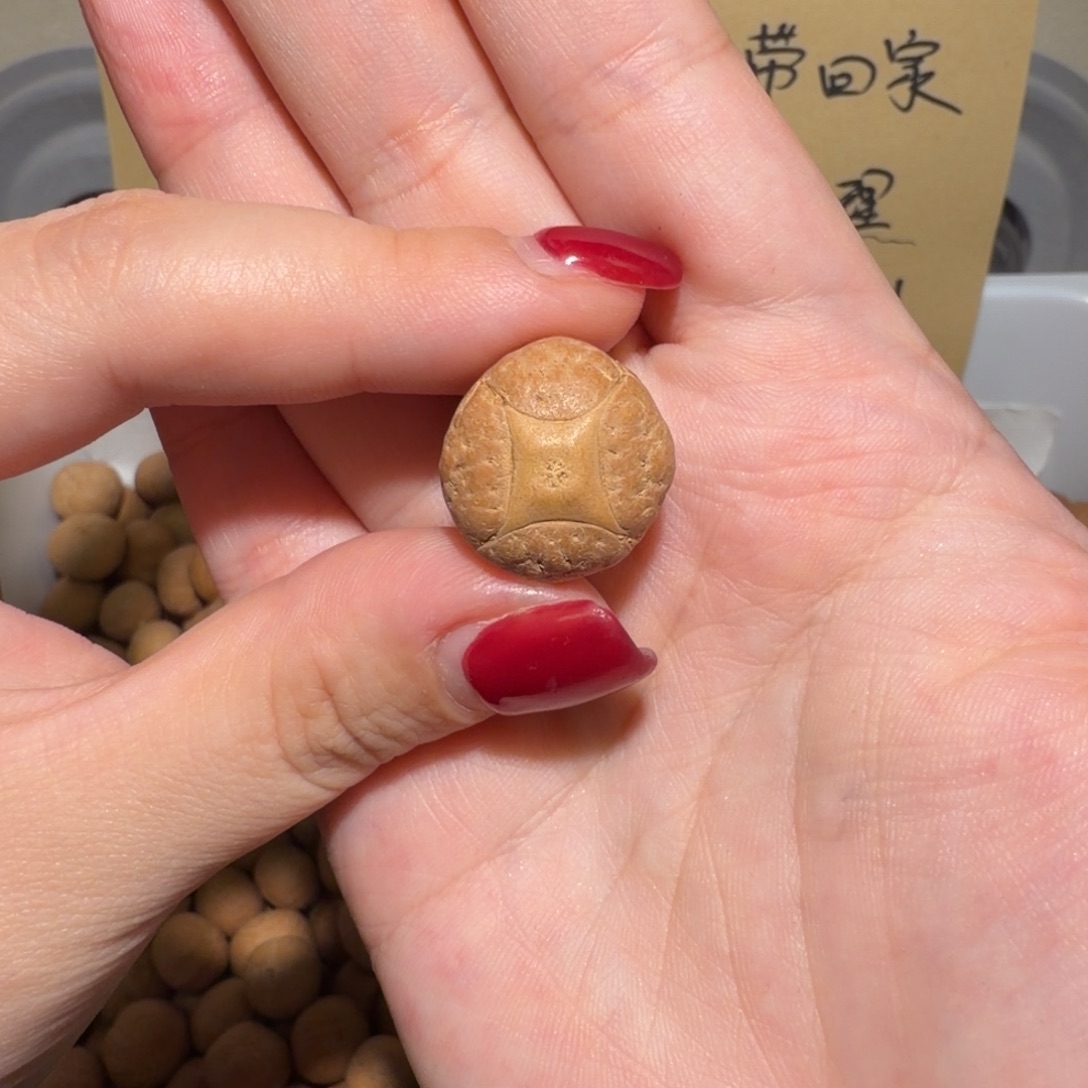 不***羊吊坠凤眼菩提不胖