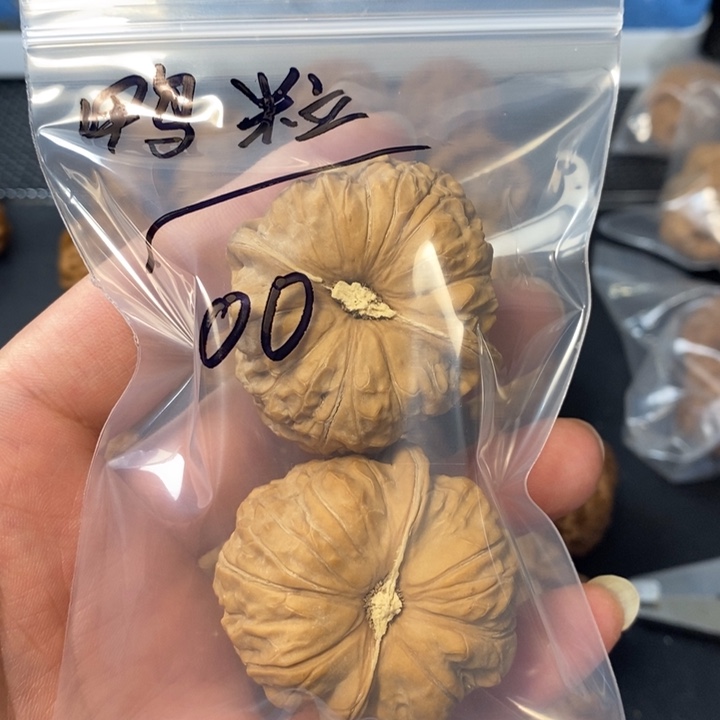 鸭***！桃核把件478754588