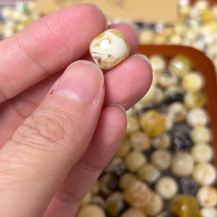 蜜蜡未镶嵌裸石11.3mm一个