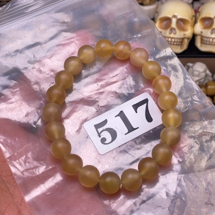 驼骨摆件人工养殖