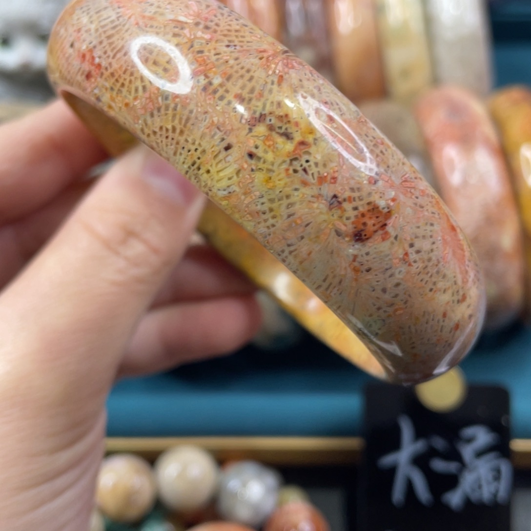 未镶嵌手镯硅化玉