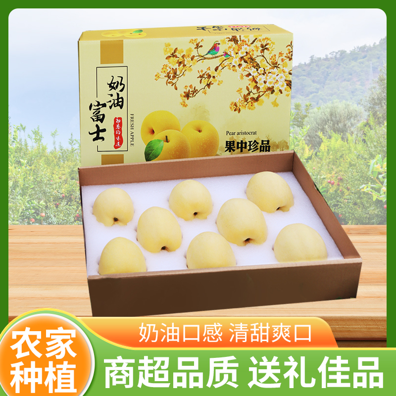 奶油富士黄苹果礼盒脆甜山东烟台富士苹果新鲜水果整箱烟台直发