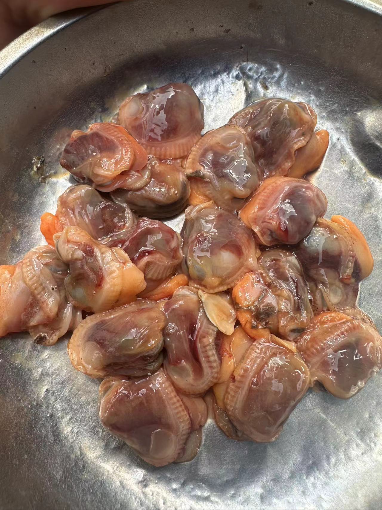 阳江 蚶仔肉 1-100斤【直播间现场改价格】