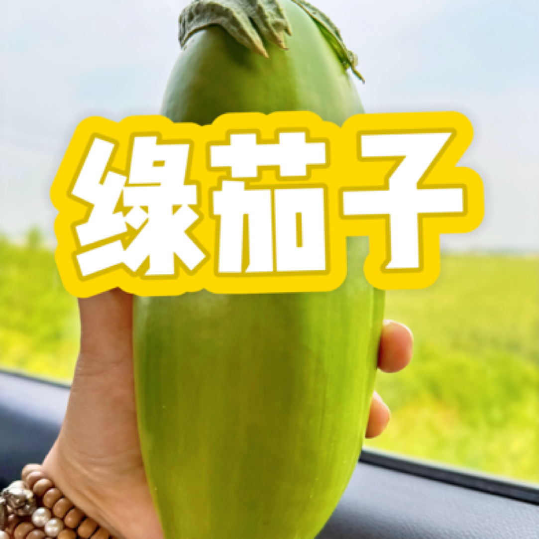 苏北农家绿茄子特色茄子