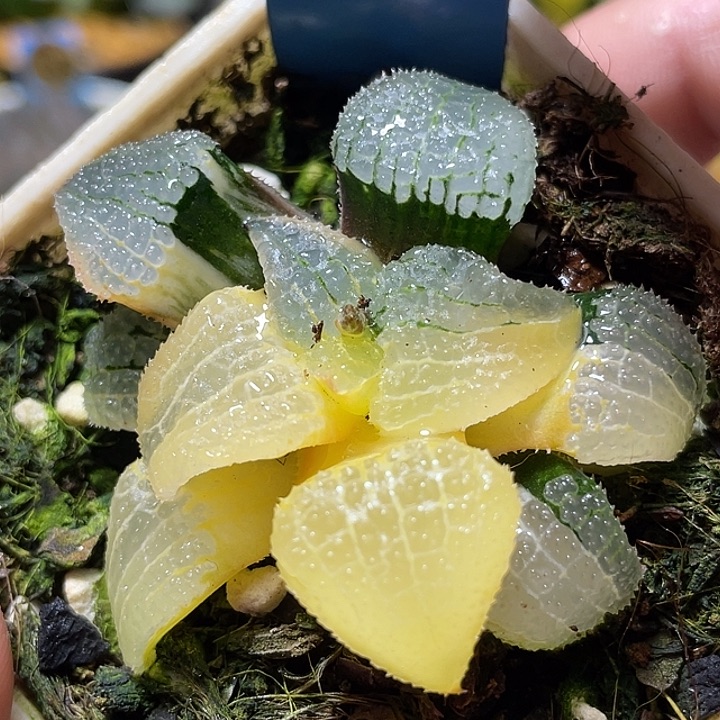 622天空之镜锦福利