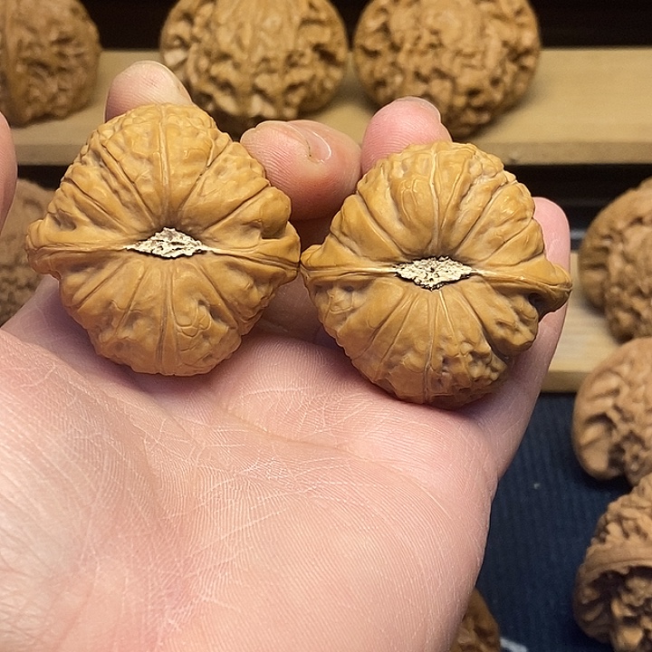 核桃42全品南瓜福利