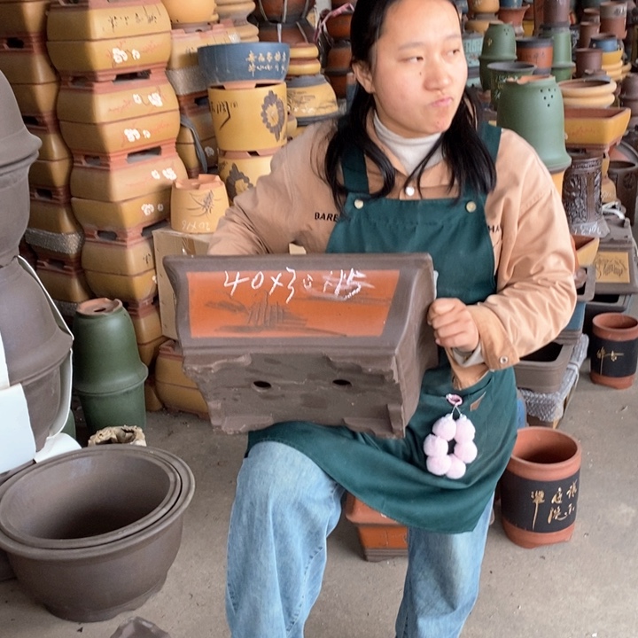 紫砂花盆盆栽花卉苗木种植