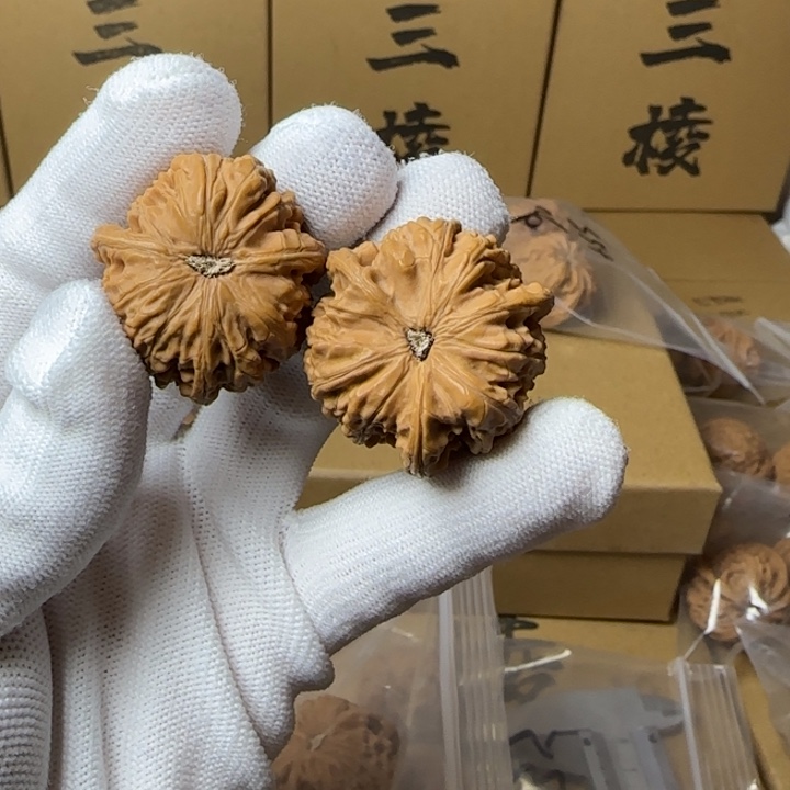 文玩核桃吊坠满**爸简单包装34尺寸玉龙三棱