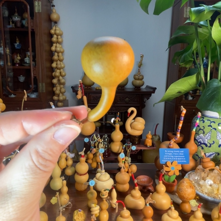 逗号葫芦微花叶葫芦