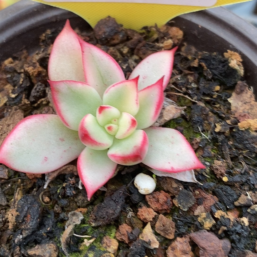 552哈哈哈哈哈哈哈哈哈