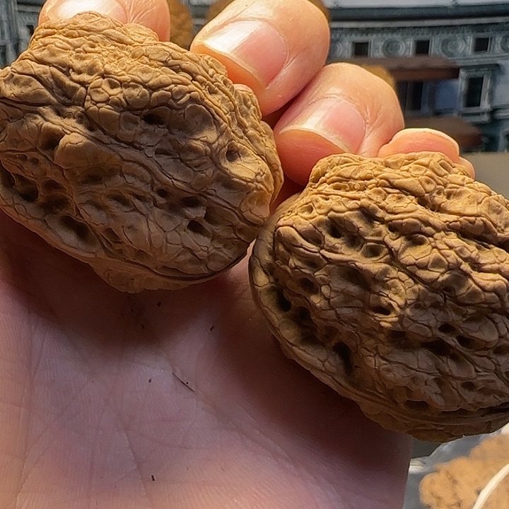 文玩核桃把件萌****地古树金蟾